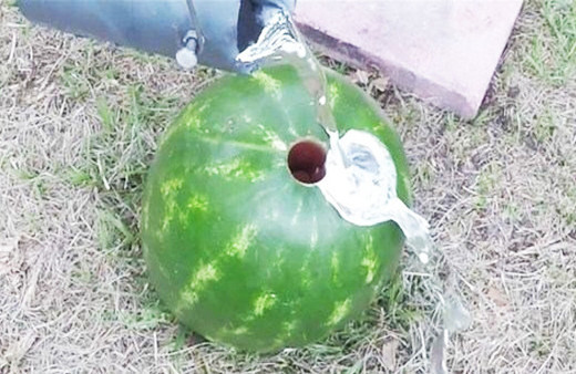 Karpuzun içine alüminyum döktü bakın sonra neler oldu