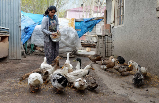Telefonu ve bilgisayarı yoktu TEOG birincisi oldu