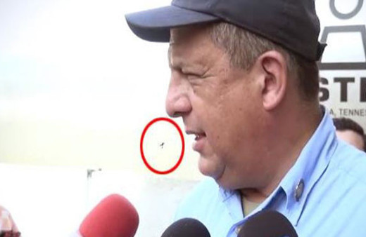  Röportaj yaparken eşek arısı yuttu!