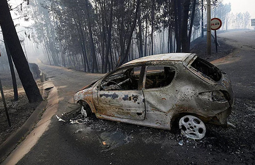 Orman Yangını: 62 kişi hayatını kaybetti..
