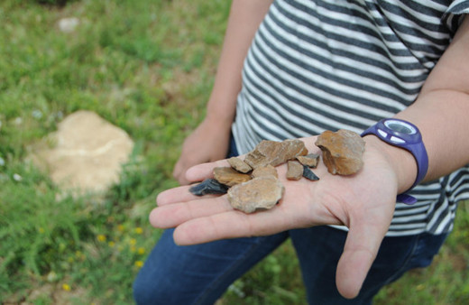 Tunceli'de bulundu tam bir milyon yıl öncesine ait 