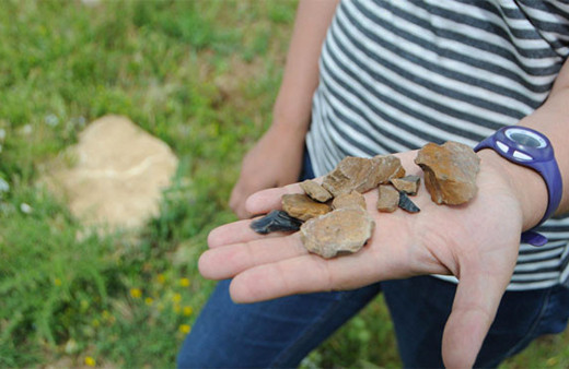 Tunceli'de 1 milyon yıl öncesine ait araç gereç parçaları bulundu
