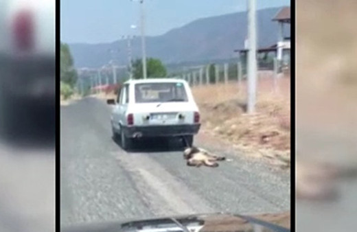 Otomobilin arkasında  sürüklenen köpek kurtarıldı