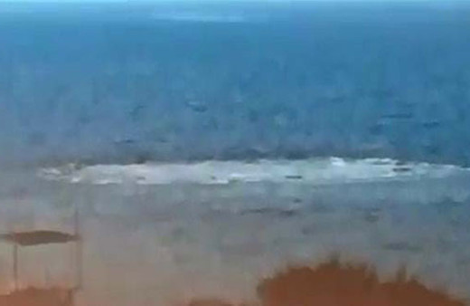 Ayvacık sahilinde denizde ürküten görüntü