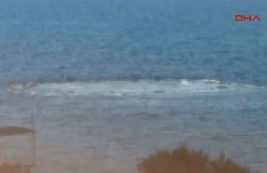 Ayvacık sahilinde denizde ürküten görüntü