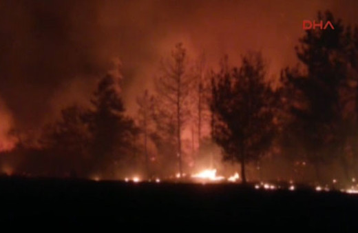 Datça'da Orman Yangını