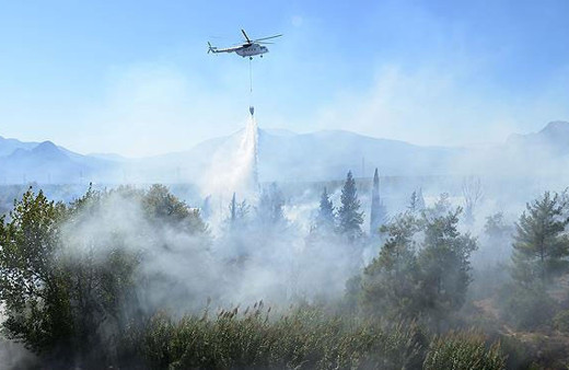 Datça'da orman yangını