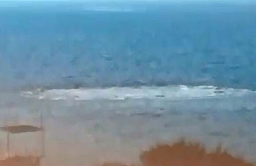 Ayvacık'taki ürküten görüntünün nedeni ne?