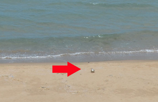 Şile'de karaya vurdu hareketli dakikalar