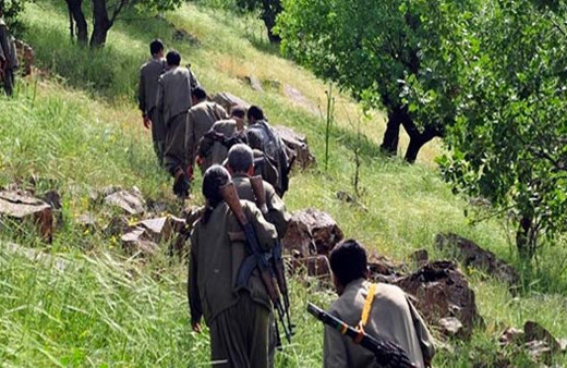 Diyarbakır'da öldürülen teröristler bakın kim çıktı
