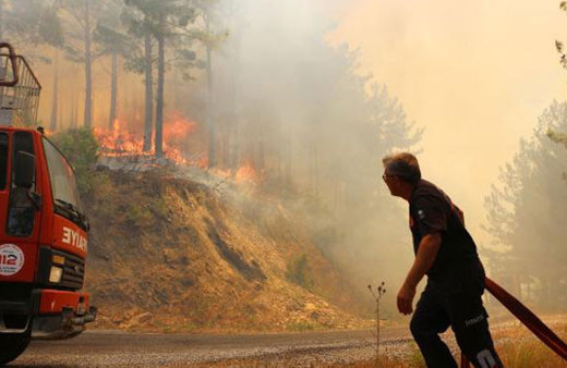 Alanya'daki yangında yürek yakan bilanço