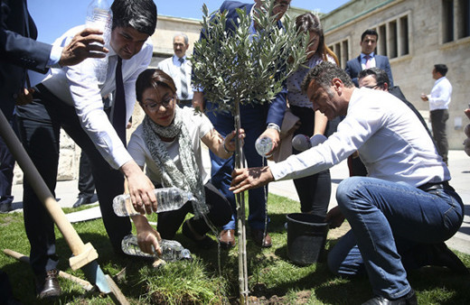 CHP'liler Meclis bahçesine zeytin ağacı dikti