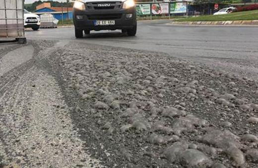 Tam 4 ton tuz ruhu yola döküldü