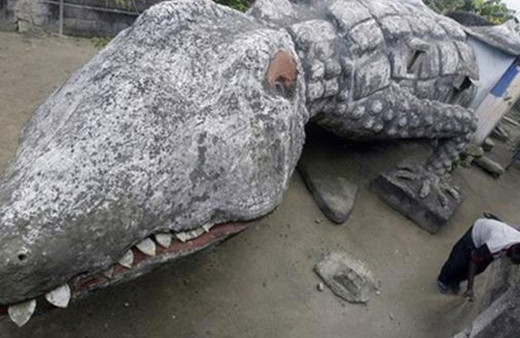 Timsahtan ev yaptılar görenler şoke oluyor!