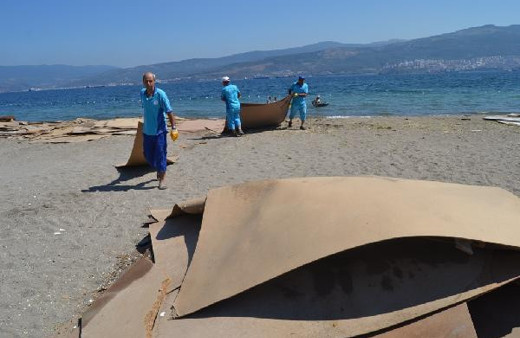 Görülmemiş olay! Gemlik'te denizi suntalar bastı