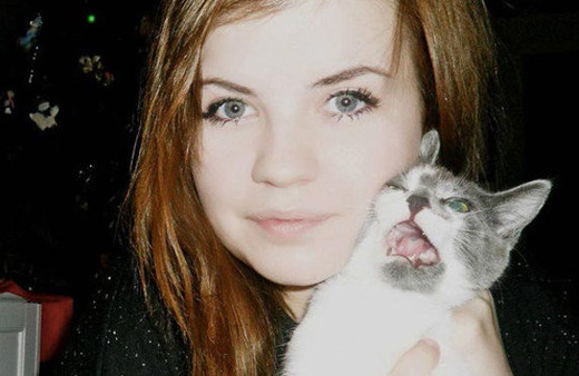 Selfie çektirmekten nefret eden kediler