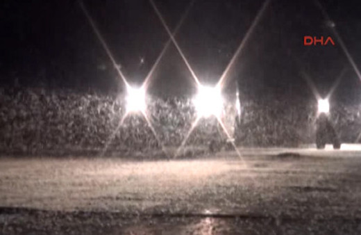 Sineklerin ölüm uçuşu