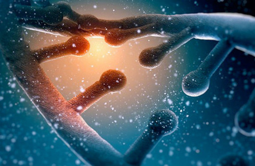 DNA hücresinde 'dört nala koşan at' görüntülendi