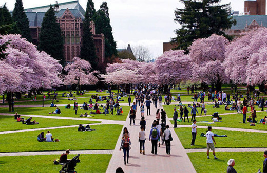 Artık sosyal medyada her gördüğünüze inanmayın