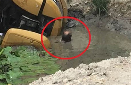 Bu kazalardan nasıl sağ kurtulduklarına kimse inanamıyor!