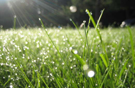 Bursa hava durumu 5 günlük meteoroloji raporu