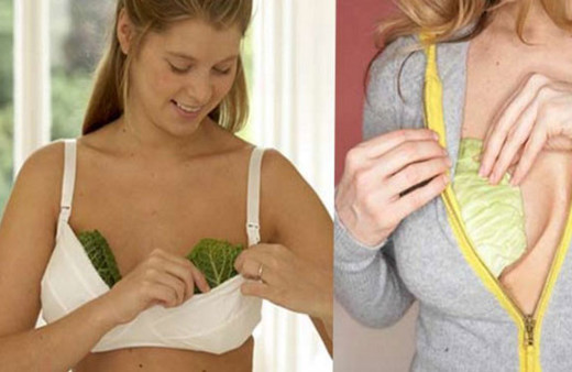 Göğsünüze lahana koyun bakın neler olacak