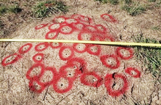 Karınca yuvasına alüminyum döktü bakın ortaya ne çıktı