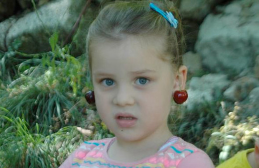 İngiltere Kraliyeti'nin özel sipariş verdiği Çığşar kirazı