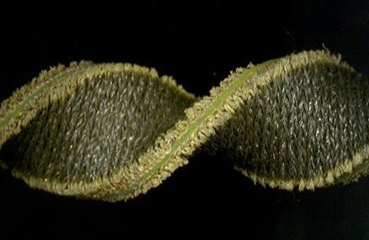 Türk bilim insanlarından büyük icat