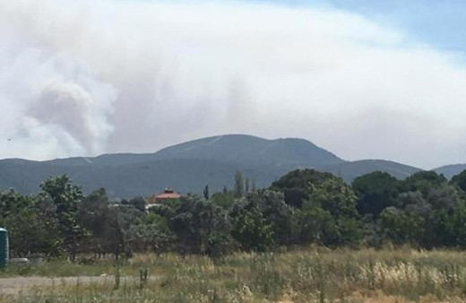 İzmir yangın son durum korkunç tabloyu İsmail Üzmez açıkladı