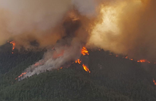 İzmir'deki orman yangını söndürülemiyor