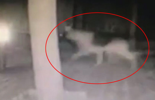 Herkes bunu paylaşıyor depremden dakikalar önce şok görüntü