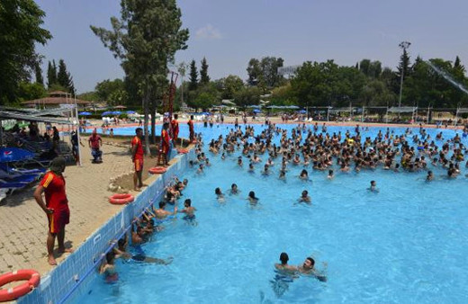 Havuza 12 kişilik taciz timi !