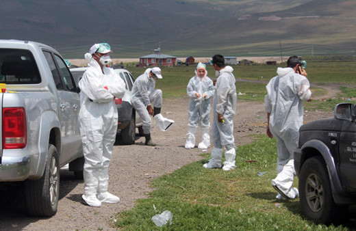 Ardahan'da neler oluyor? Devlet para ödeyip yok ediyor