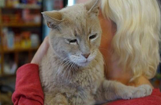 ABD'nin belediye başkanı kedisi öldü halk yas tuttu