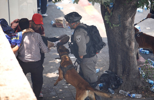 İsrail polisi namaz sonrası cemaatten 13 kişiYİ yaraladı