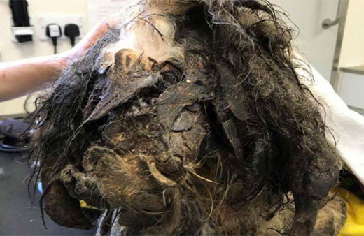 Onu bu halde buldular ne olduğunu anlaşılınca şok yarattı