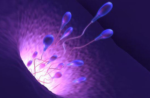 Batılı erkeklerin sperm sayısı yarı yarıya azaldı!