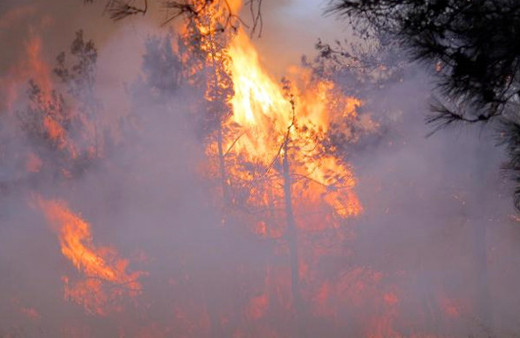 İzmir yangını Manisa'ya ulaştı! Son durum ne?