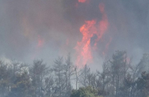 Çanakkale yanıyor evler boşaltılıyor