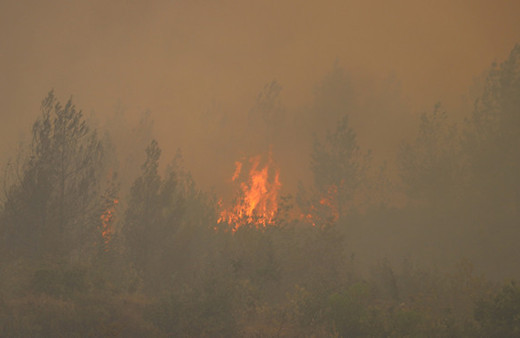 Bir orman yangını daha çıktı! 2 uçak 4 helikopter...