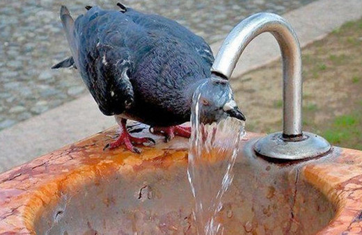 Tokat hava durumu aşırı sıcaklar ne zaman bitiyor?