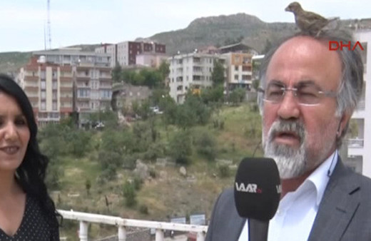 Canlı yayında muhabirin başına kuş kondu