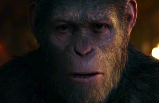 İnsandan maymuna dönüşümüne inanamayacaksınız!