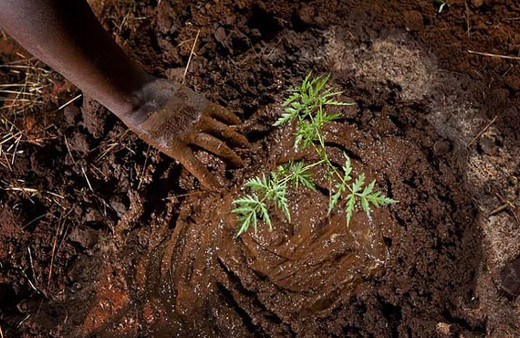 Afrika açlıkla mücadele ediyor 28 ülke risk altında