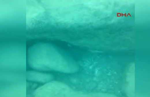 Pasifik kökenli Aslan balığı, Antalya Körfezi'ne ulaştı