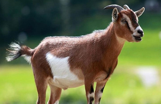 Dünyanın en garip batıl inançları