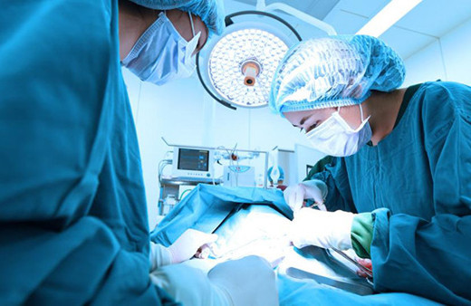 Domuzdan insana böbrek nakli yapılabilecek