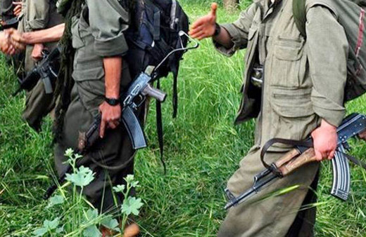 PKK'nın sözde grup sorumlusu öldürüldü