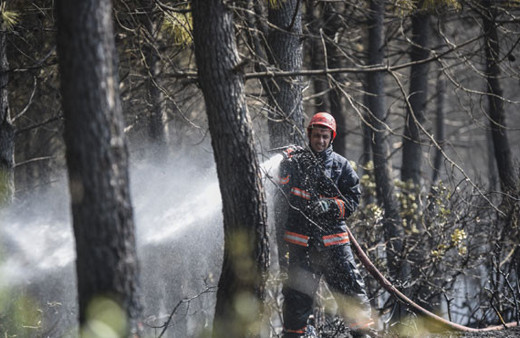 Sarıyer'de orman yangını alevler bir anda büyüdü